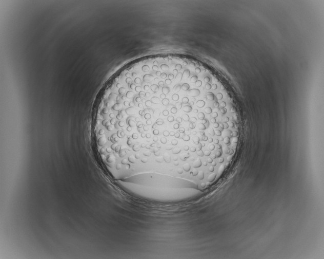 X0000111171220200907291116