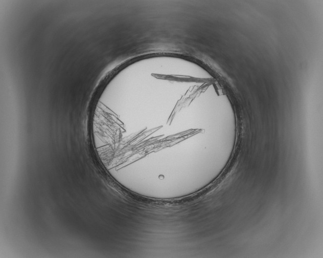X0000111171222200907291116