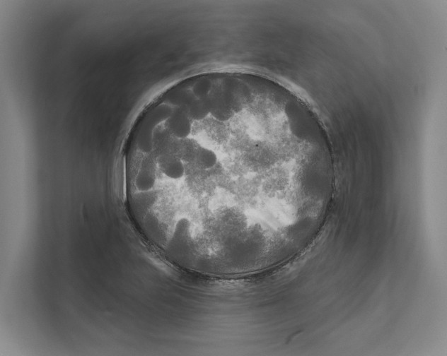 X0000111171223200907291116