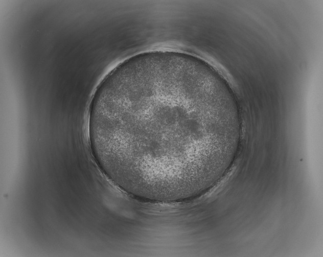 X0000111171224200907291116