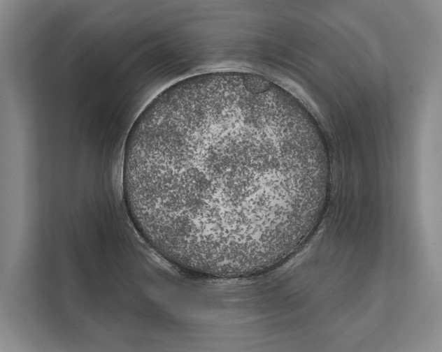 X0000111171228200907291116