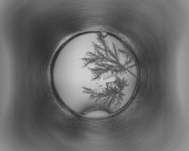 X0000111171230200907291116