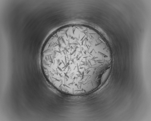 X0000111171232200907291116