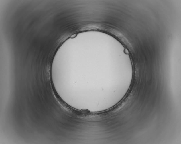 X0000111171233200907291116