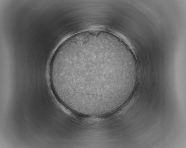 X0000111171235200907291116