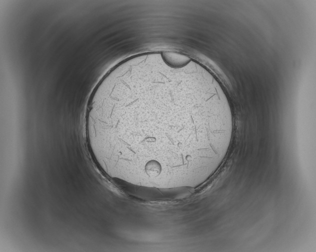 X0000111171236200907291116