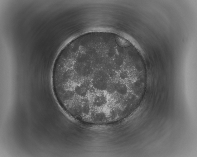 X0000111171237200907291116