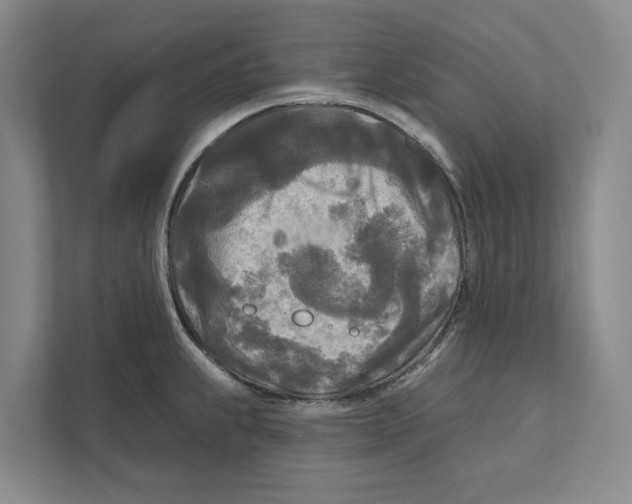 X0000111171239200907291116