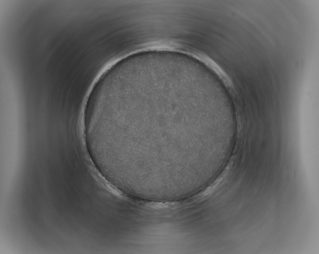 X0000111171240200907291116