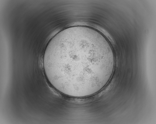 X0000111171241200907291116