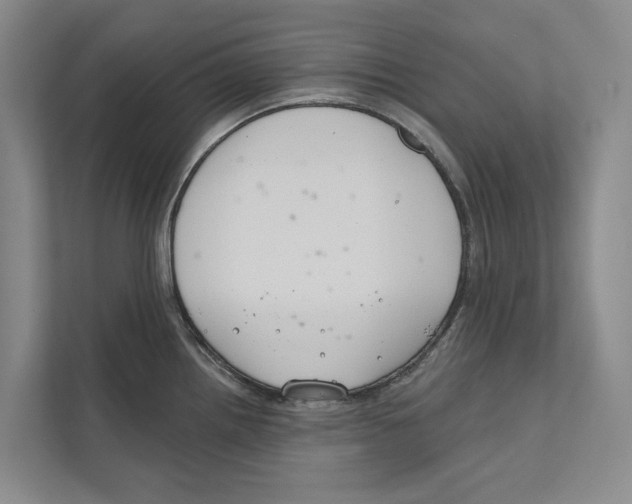 X0000111171242200907291116