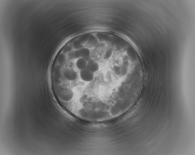 X0000111171243200907291116