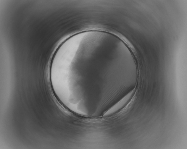 X0000111171246200907291116