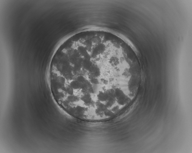 X0000111171247200907291117