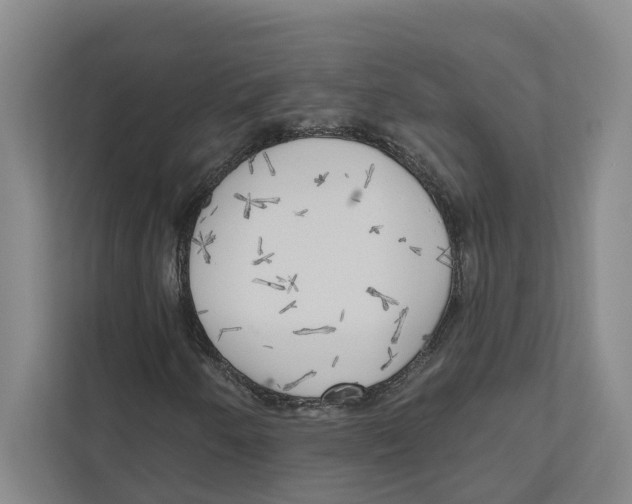 X0000111171250200907291116
