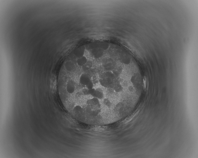 X0000111171251200907291116