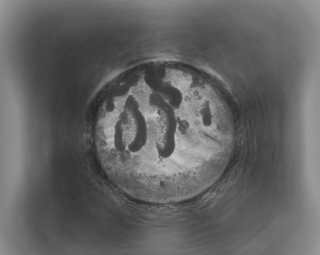 X0000111171255200907291116