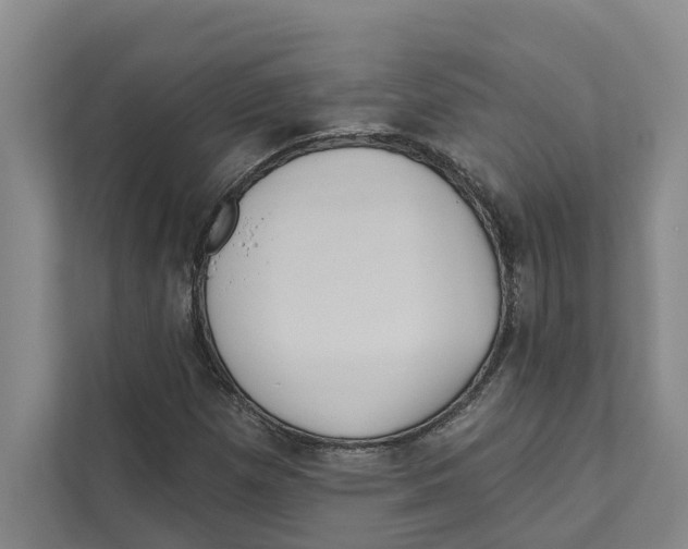 X0000111171257200907291116