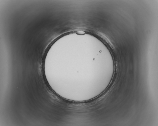 X0000111171260200907291116