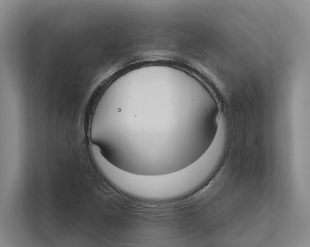 X0000111171261200907291116