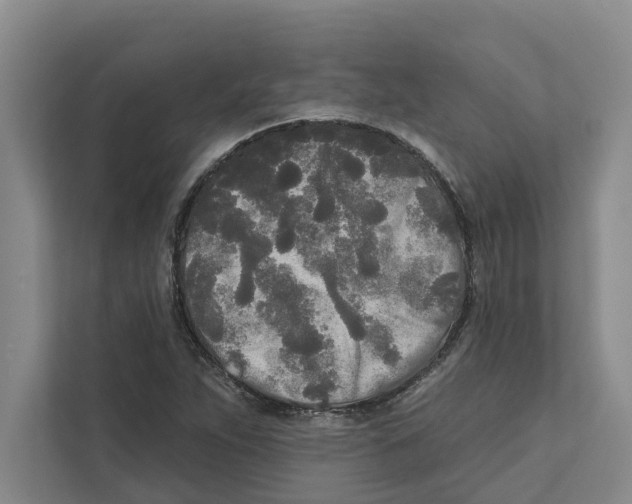 X0000111171263200907291116