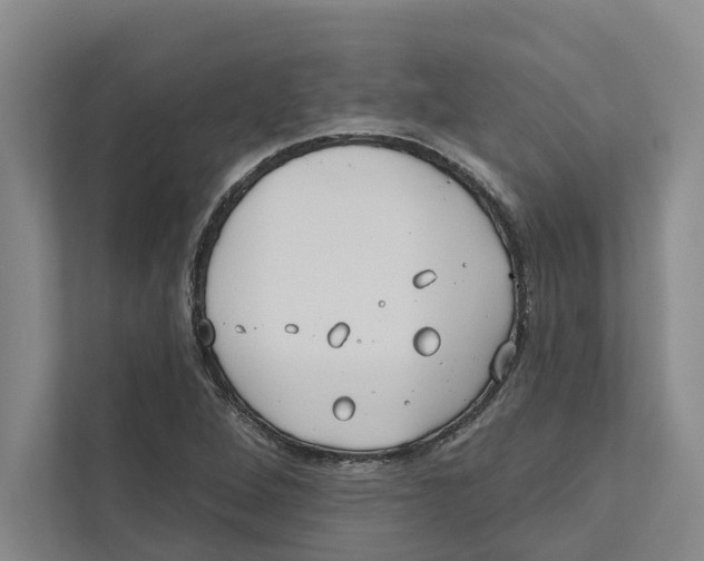 X0000111171264200907291116