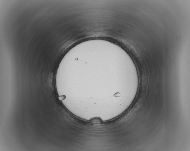 X0000111171265200907291116