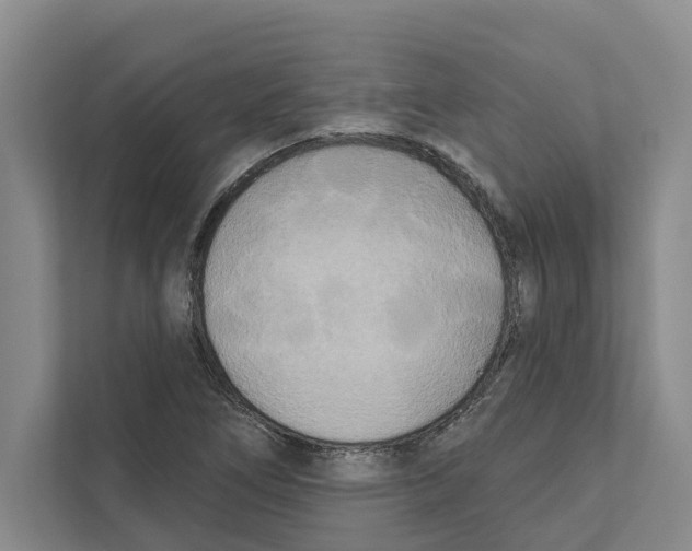 X0000111171266200907291116