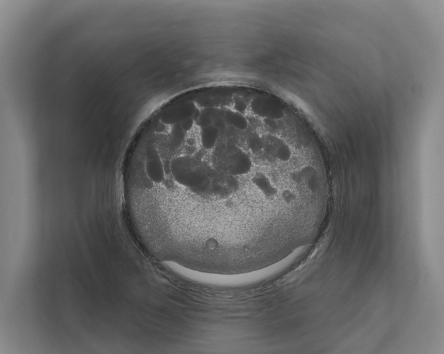 X0000111171267200907291116