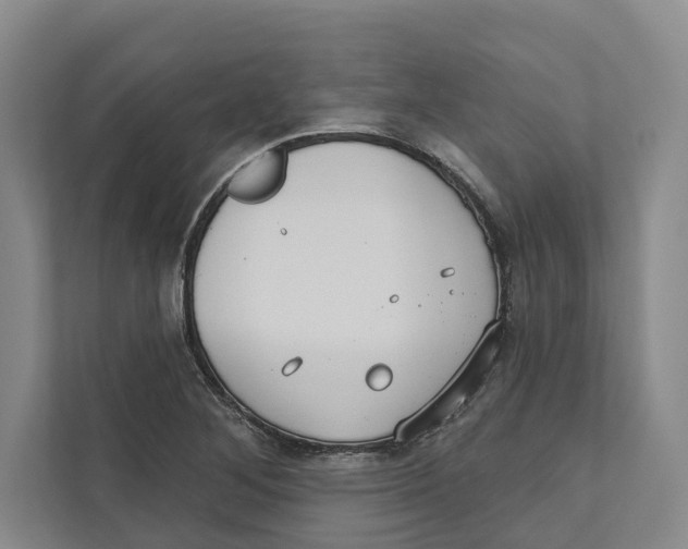 X0000111171268200907291116