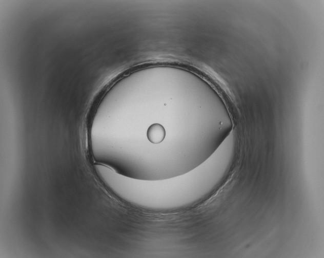 X0000111171269200907291116