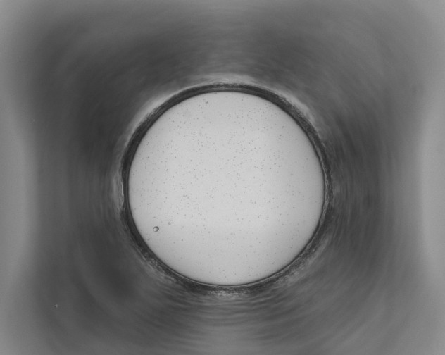 X0000111171271200907291116