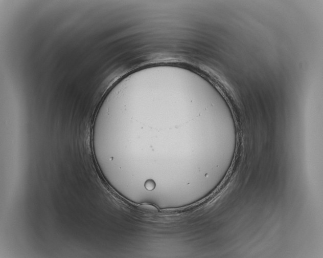 X0000111171273200907291116