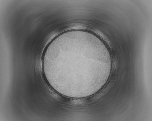 X0000111171274200907291116