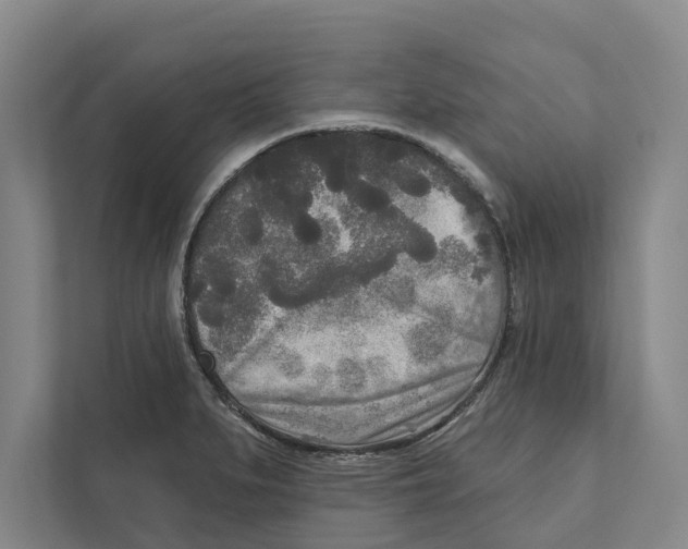 X0000111171279200907291116