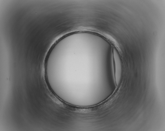 X0000111171280200907291115