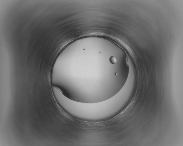 X0000111171281200907291115