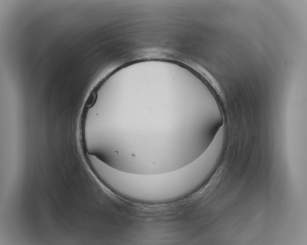 X0000111171285200907291115