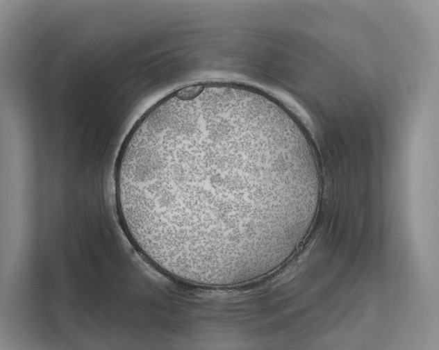 X0000111171287200907291115