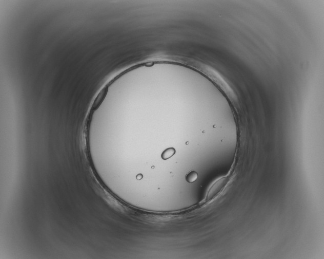 X0000111171292200907291115