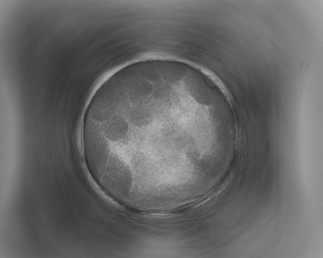 X0000111171295200907291115