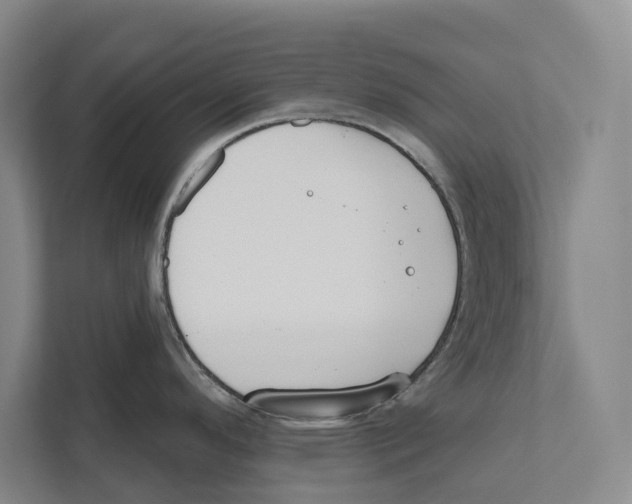 X0000111171296200907291115