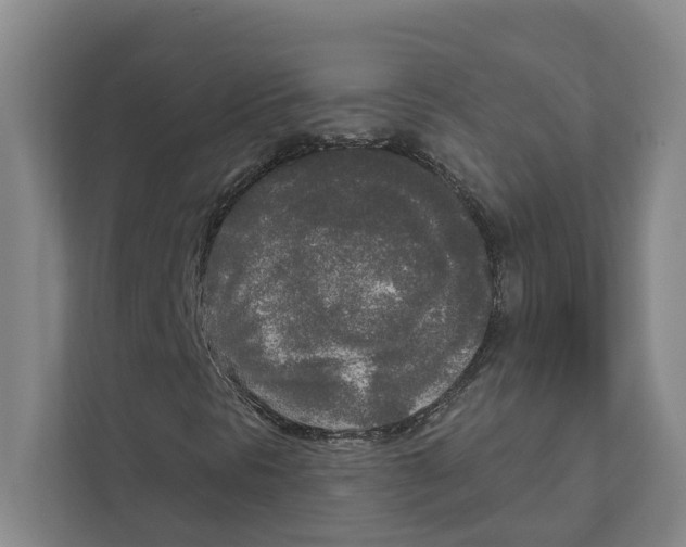 X0000111171297200907291115