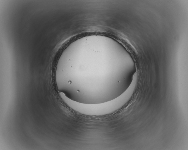 X0000111171304200907291115