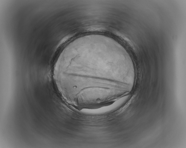 X0000111171306200907291115