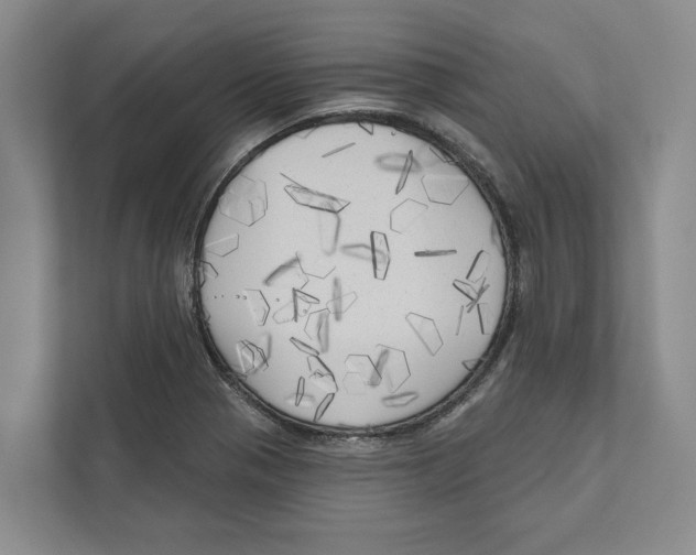 X0000111171321200907291115