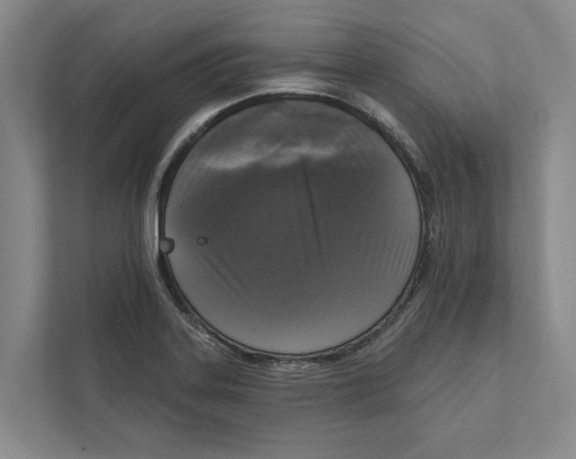 X0000111171323200907291115