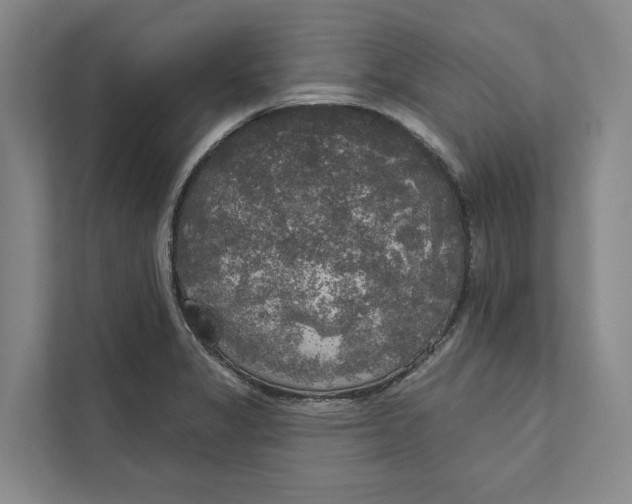 X0000111171325200907291115