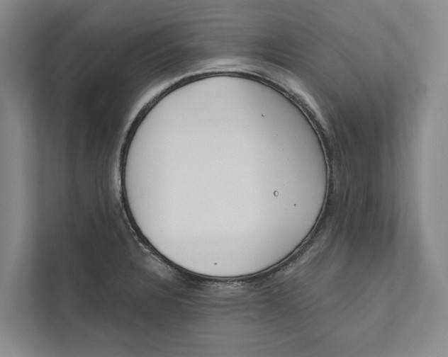 X0000111171328200907291115