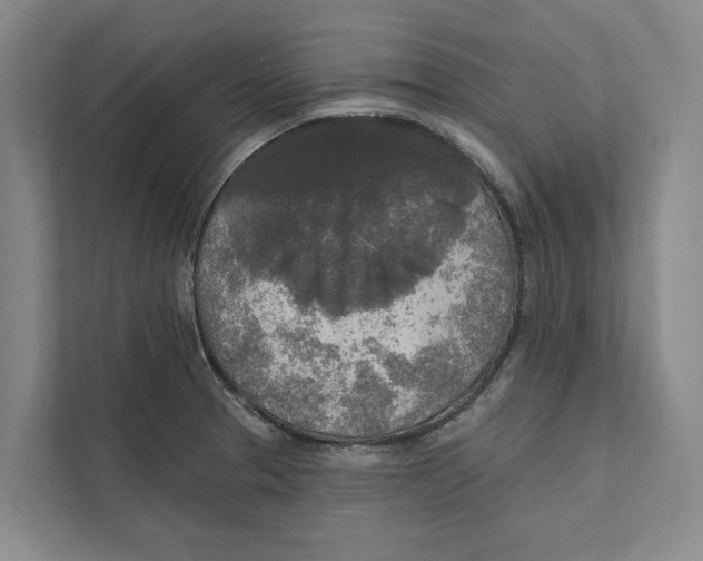 X0000111171329200907291115